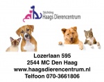 Haagsdierencentrum.jpg